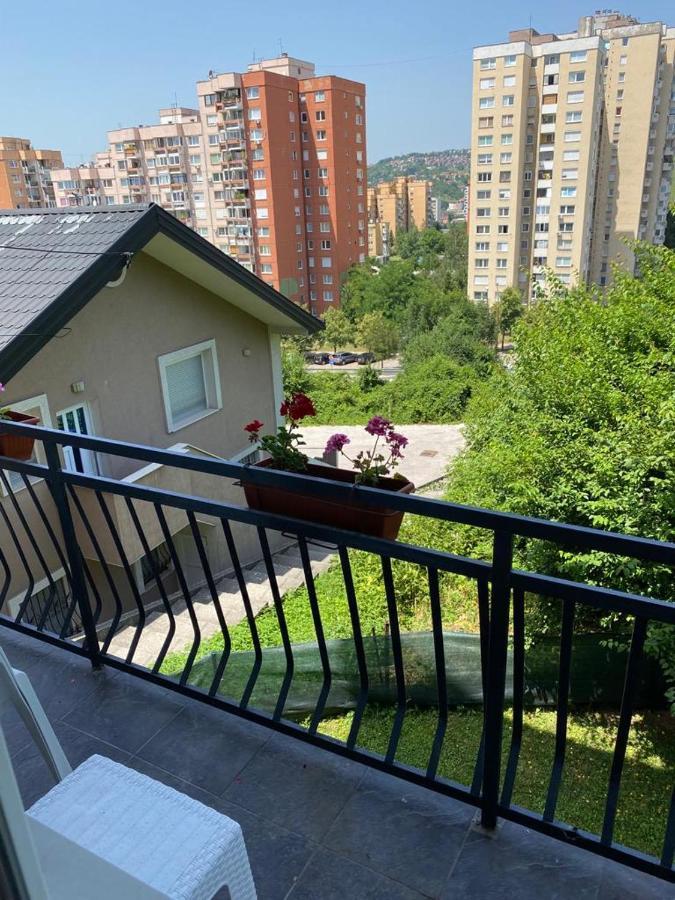 Cherry Sarajevo